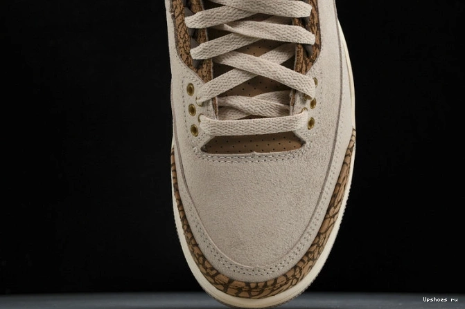   CT8532-102 Palomino Jordan 3 Retro 0323